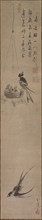 Swallows, late 1600s-early 1700s. Creator: Sekkei Yamaguchi (Japanese, 1644-1732).