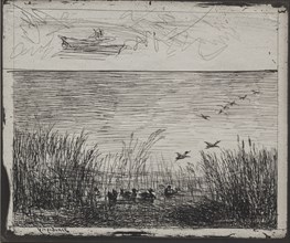 Swamp with Ducks, original impression 1862, printed in 1921. Creator: Charles François Daubigny (French, 1817-1878).