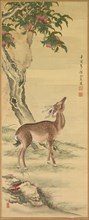 Symbols of Longevity: Deer under Peach and Pine (Pine) (right), 1801. Creator: Toda Tadanaka (Japanese, 1761-1823).