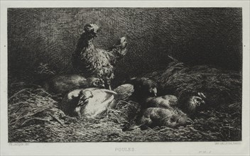 The Chickens. Creator: Charles-Émile Jacque (French, 1813-1894).