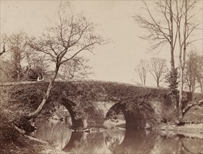 The Country Bridge (Staplylton Bridge, Bristol), c. 1854- 1857. Creator: John Dillwyn Llewelyn (British, 1810-1882).