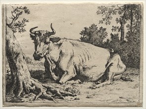 The cow lying down near a tree. Creator: Paulus Potter (Dutch, 1625-1654).