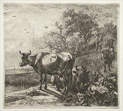 The Cowherd. Creator: Paulus Potter (Dutch, 1625-1654).