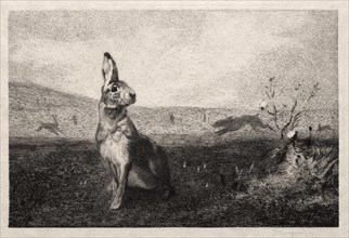 The Hare (after A. de Balleroy), 1865. Creator: Félix Bracquemond (French, 1833-1914).