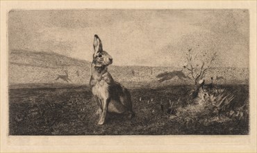 The Hare (Le Lièvre), 1865. Creator: Félix Bracquemond (French, 1833-1914).