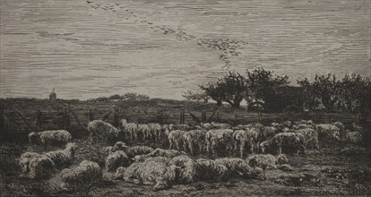 The Large Sheep-Fold, 1860. Creator: Charles François Daubigny (French, 1817-1878); Cadart.