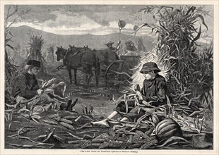 The Last Days of Harvest, 1873. Creator: Winslow Homer (American, 1836-1910).