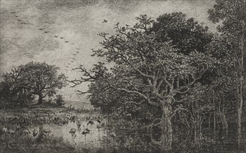 The Marsh with Storks, c. 1851. Creator: Charles François Daubigny (French, 1817-1878); Auguste Delâtre (2nd state); A. Salmon (6th state).