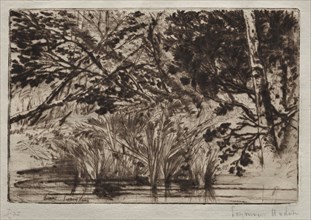 The Mouth of a Brook (Second Plate). Creator: Francis Seymour Haden (British, 1818-1910).