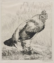 The Old Cock, 1882. Creator: Félix Bracquemond (French, 1833-1914); Dowdeswell.
