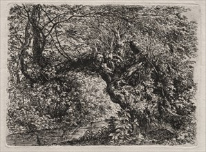 The Old Willow at a Brook, 1794. Creator: Georg von Dillis (German, 1759-1841).