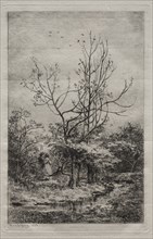 The Orchard, 1868. Creator: Charles François Daubigny (French, 1817-1878).