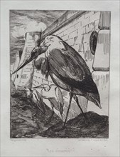 The Storks, 1865. Creator: Félix Bracquemond (French, 1833-1914); Cadart & Luquet, Paris.