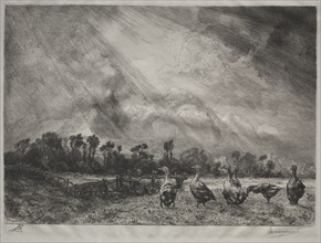 The Storm Cloud, 1878-1887. Creator: Félix Bracquemond (French, 1833-1914).