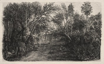 The Stream, 1880. Creator: Rodolphe Bresdin (French, 1822-1885).