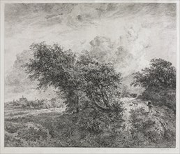 The Thicket, 1855. Creator: Charles François Daubigny (French, 1817-1878).