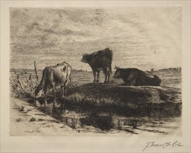 The Three Cows. Creator: Joseph Foxcroft Cole (American, 1837-1892).