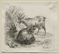 Three Goats. Creator: Nicolaes Berchem (Dutch, 1620-1683).