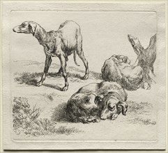 Three Hunting Dogs. Creator: Nicolaes Berchem (Dutch, 1620-1683).