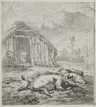 Three Swine Lying in Front of a Sty. Creator: Karel Dujardin (Dutch, c. 1622-1678).