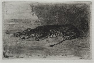 Tigre couché à lentrée de son antre. Creator: Eugène Delacroix (French, 1798-1863).