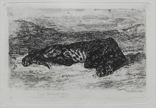 Tigre couché dans le desert. Creator: Eugène Delacroix (French, 1798-1863).