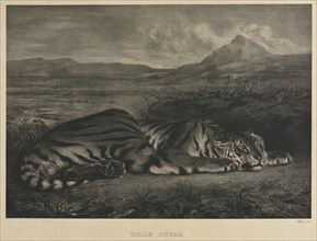 Tigre Royal, 1829. Creator: Eugène Delacroix (French, 1798-1863).