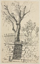 Tree on Top of a Stone Wall, Cleveland. Creator: Otto H. Bacher (American, 1856-1909).