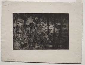 Trees at Night, c. 1894. Creator: Armand Séguin (French, 1869-1903).
