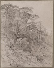 Trees of a Rocky Hillside, late 1800s. Creator: Gustave Achille Guillaumet (French, 1840-1887).