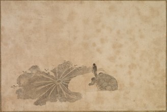 Turtle in a Lotus Pond, 18th century. Creator: Unknown.