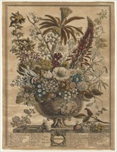 Twelve Months of Flowers: December, 1730. Creator: Henry Fletcher (British, active 1715-38).