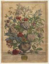 Twelve Months of Flowers: July, 1730. Creator: Henry Fletcher (British, active 1715-38).