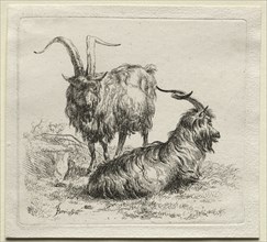 Two Goats. Creator: Nicolaes Berchem (Dutch, 1620-1683).