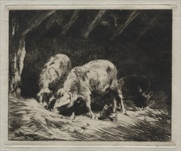 Two Porcs. Creator: Charles-Émile Jacque (French, 1813-1894).