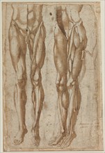 Two Studies of a Flayed Man (recto) Study of a Flayed Torso (verso), 1554. Creator: Bartolommeo da Arezzo (Italian, 1578).