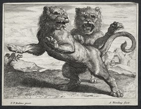 Various Lions. Creator: Abraham Blooteling (Dutch, 1640-1690).