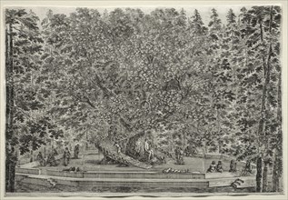 Views of the Villa of Pratolino: The Inhabited Tree. Creator: Stefano Della Bella (Italian, 1610-1664).