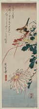 Warbler and Chrysanthemums, mid 1830s. Creator: Ando Hiroshige (Japanese, 1797-1858).