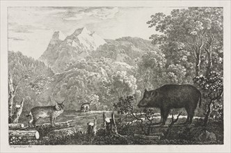 Wild Boar, Wildcat and Lynx, 1807. Creator: Maximilian Josef Wagenbauer (German, 1774-1829).