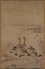 Wild Geese, early 1500s. Creator: Kano Chokichi (Japanese).