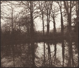 Winter Trees Reflected in a Pond, 1841-42. Creator: William Henry Fox Talbot (British, 1800-1877).