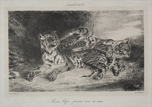 Young Tiger Playing with its Mother, 1831. Creator: Eugène Delacroix (French, 1798-1863).