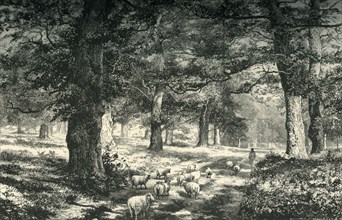 'In Sherwood Forest', c1870.