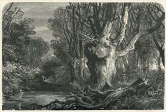 'Near Lymington, in the New Forest', c1870.