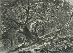 'At Coney Hill, Hayes Common, Kent', c1870.