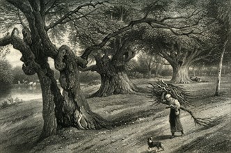 'At Burnham Beeches', c1870.