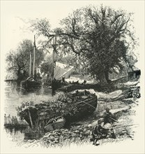 'Countess Weir, near Exeter', c1870.