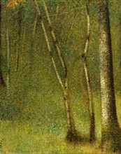 The Forest at Pontaubert, 1881. Creator: Georges-Pierre Seurat.