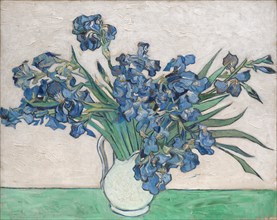 Irises, 1890. Creator: Vincent van Gogh.